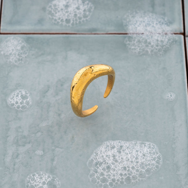 Nova Ring i forgylt stål